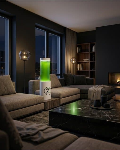 Zygreen Atelier in a living room at night